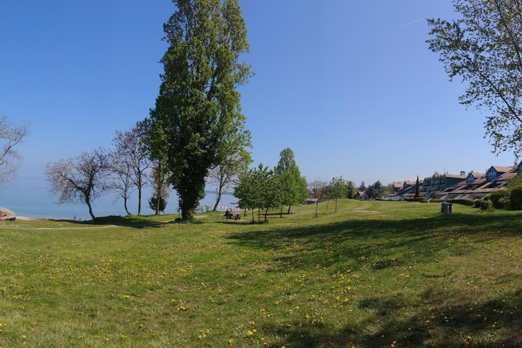 Lakefront. Appartement Pieds Dans L'Eau. View And Direct Access To The Lake. Anthy-sur-Leman Dış mekan fotoğraf