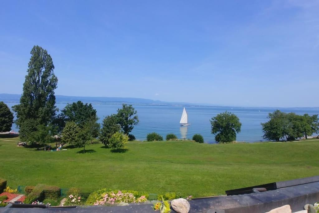 Lakefront. Appartement Pieds Dans L'Eau. View And Direct Access To The Lake. Anthy-sur-Leman Dış mekan fotoğraf