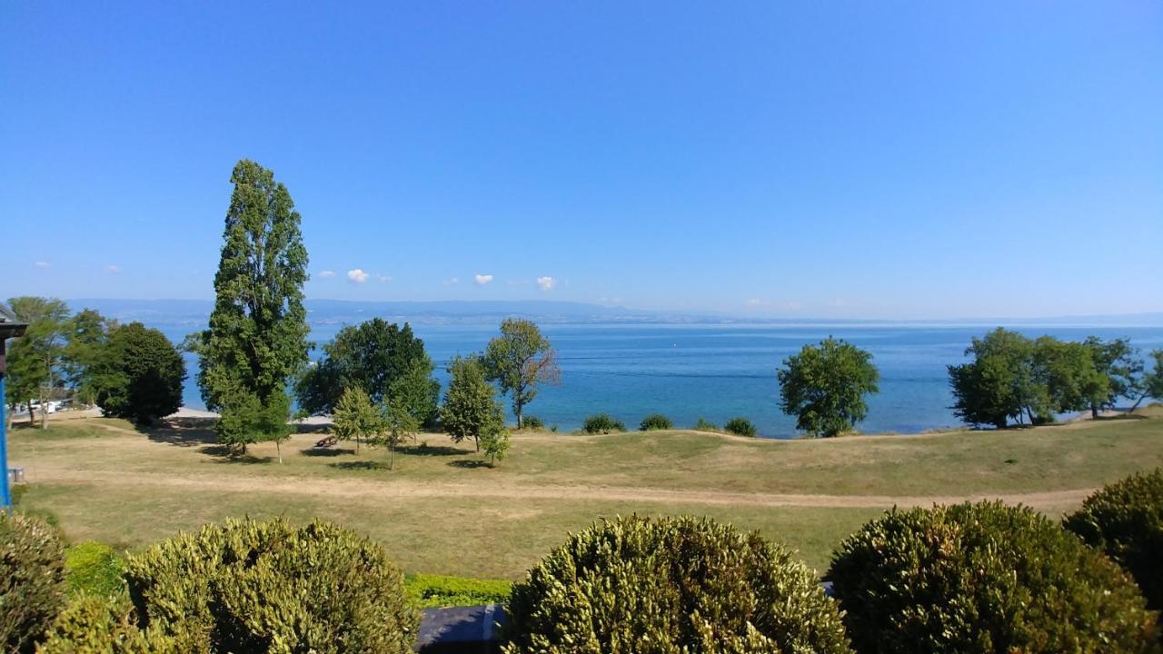Lakefront. Appartement Pieds Dans L'Eau. View And Direct Access To The Lake. Anthy-sur-Leman Dış mekan fotoğraf